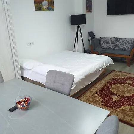 Fully Furnished