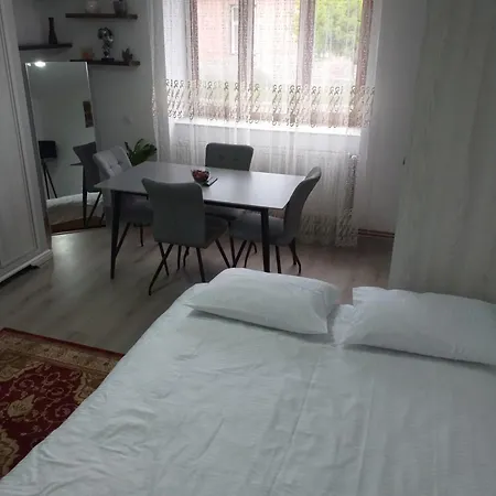 Homestay Fully Furnished Sighetu Marmatiei